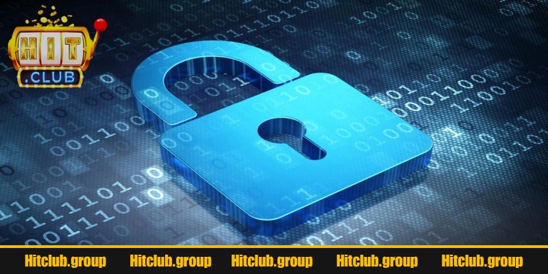 Thông tin mà nền tảng thu thập 